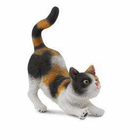 3 Colour House Cat Stretching
