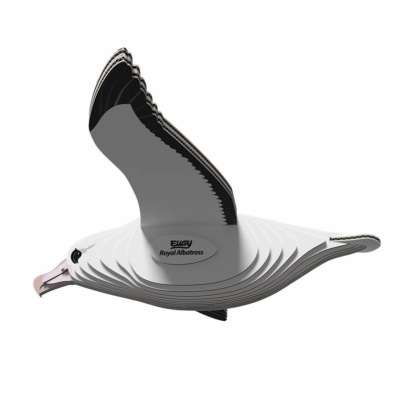 3D Cardboard Model Kit - Royal Albatross