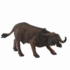 African Buffalo