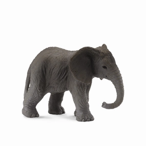 African Elephant Calf