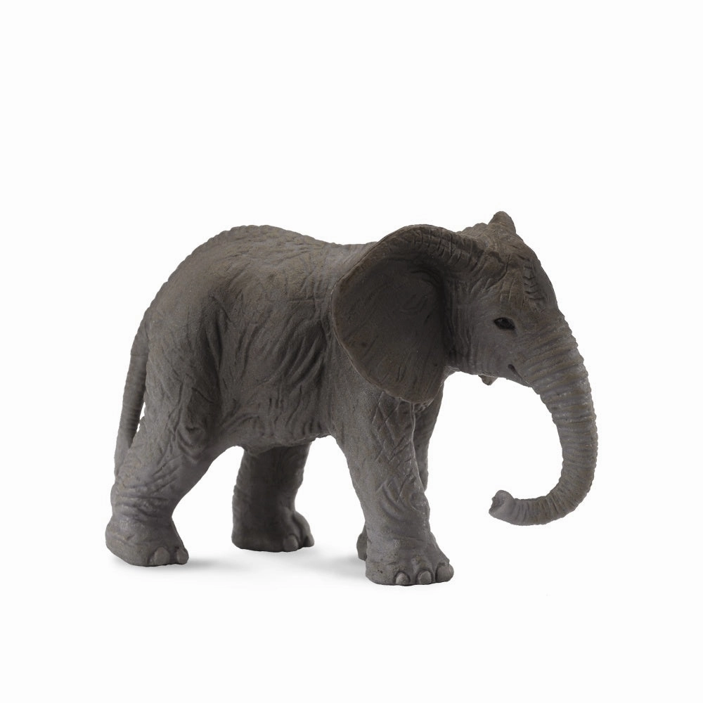 African Elephant Calf