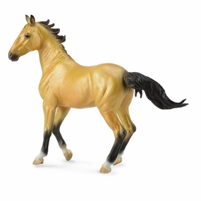 Akhal Teke Mare Buckskin