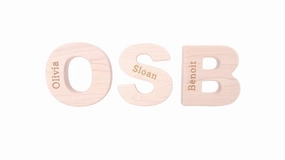 Alphabet Grasping Toy - Choose Your Letter