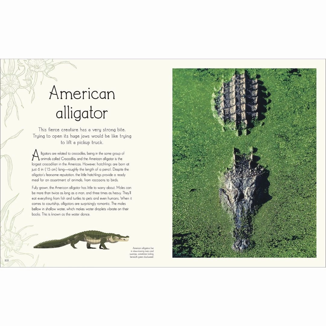 An Anthology of Aquatic Life