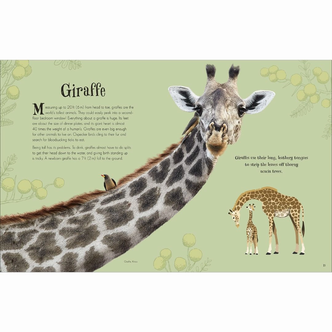 An Anthology of Intriguing Animals