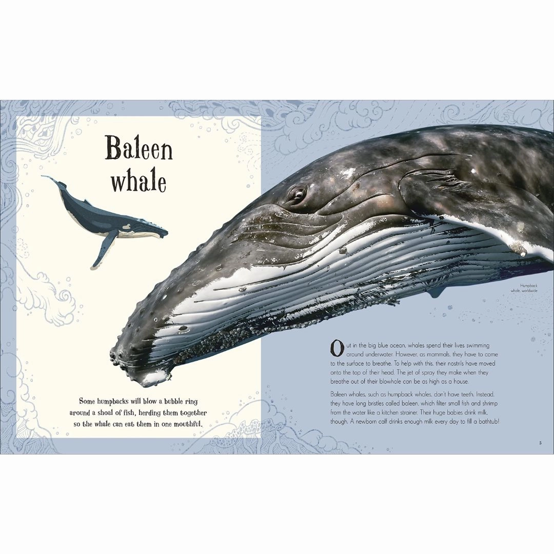 An Anthology of Intriguing Animals