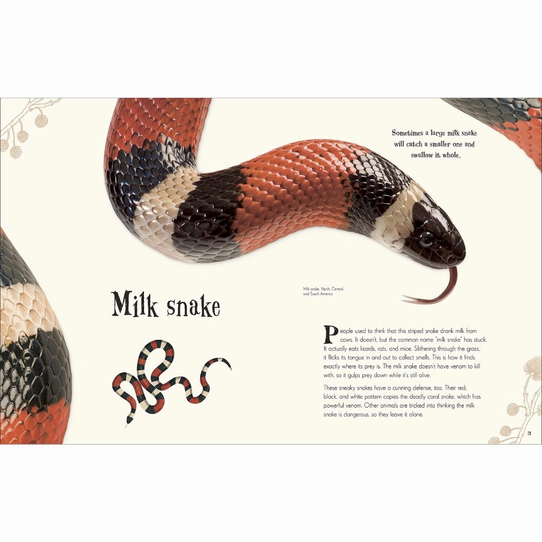 An Anthology of Intriguing Animals