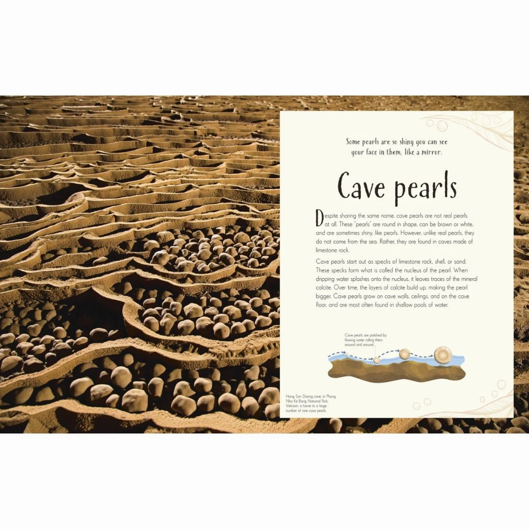 An Anthology of Our Extraordinary Earth