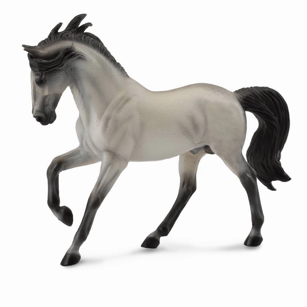 Andalusian Stallion Grey