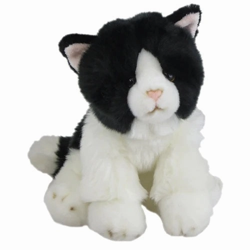 Antics Black and White Cat
