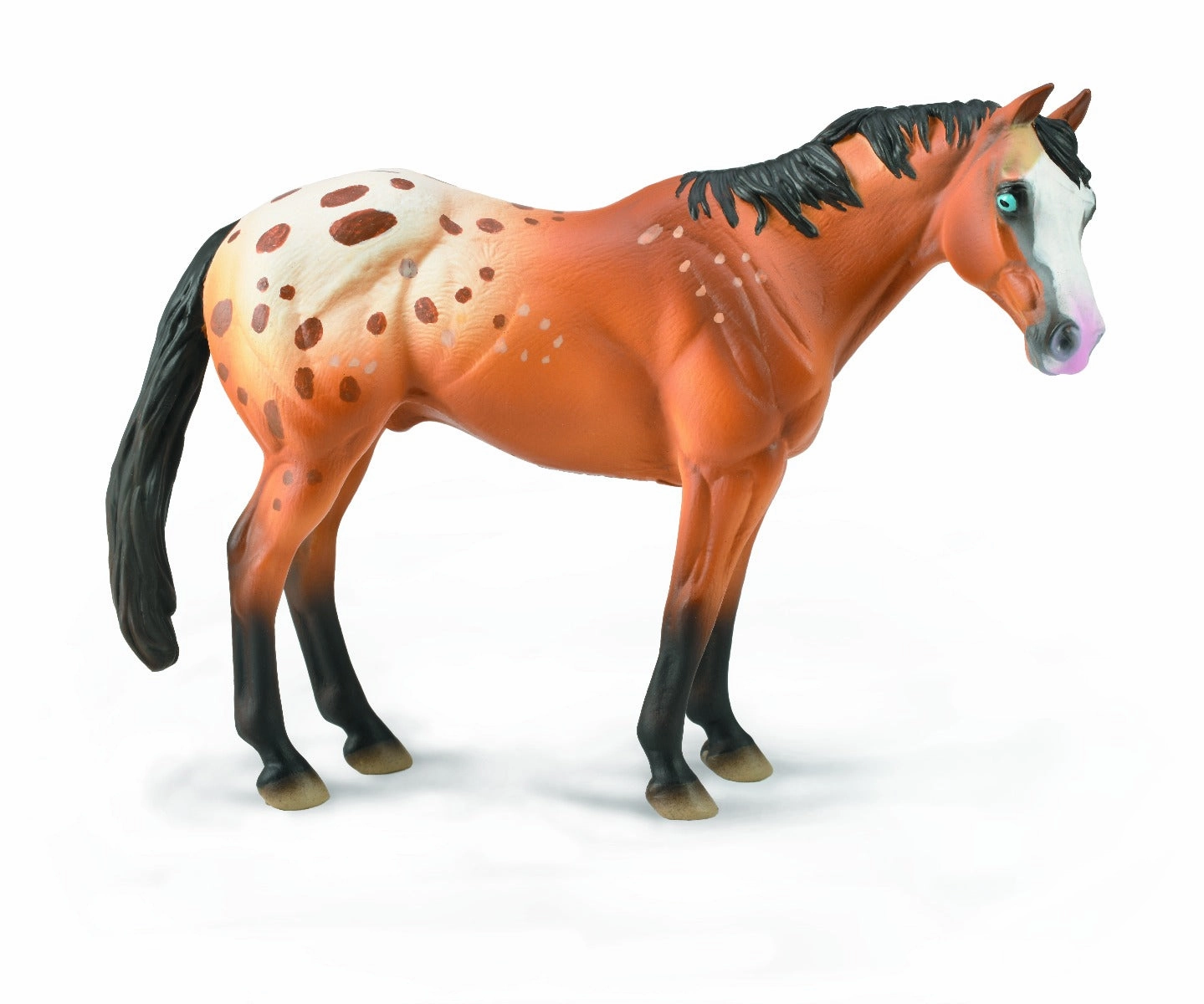 Appaloosa Stallion Light Brown