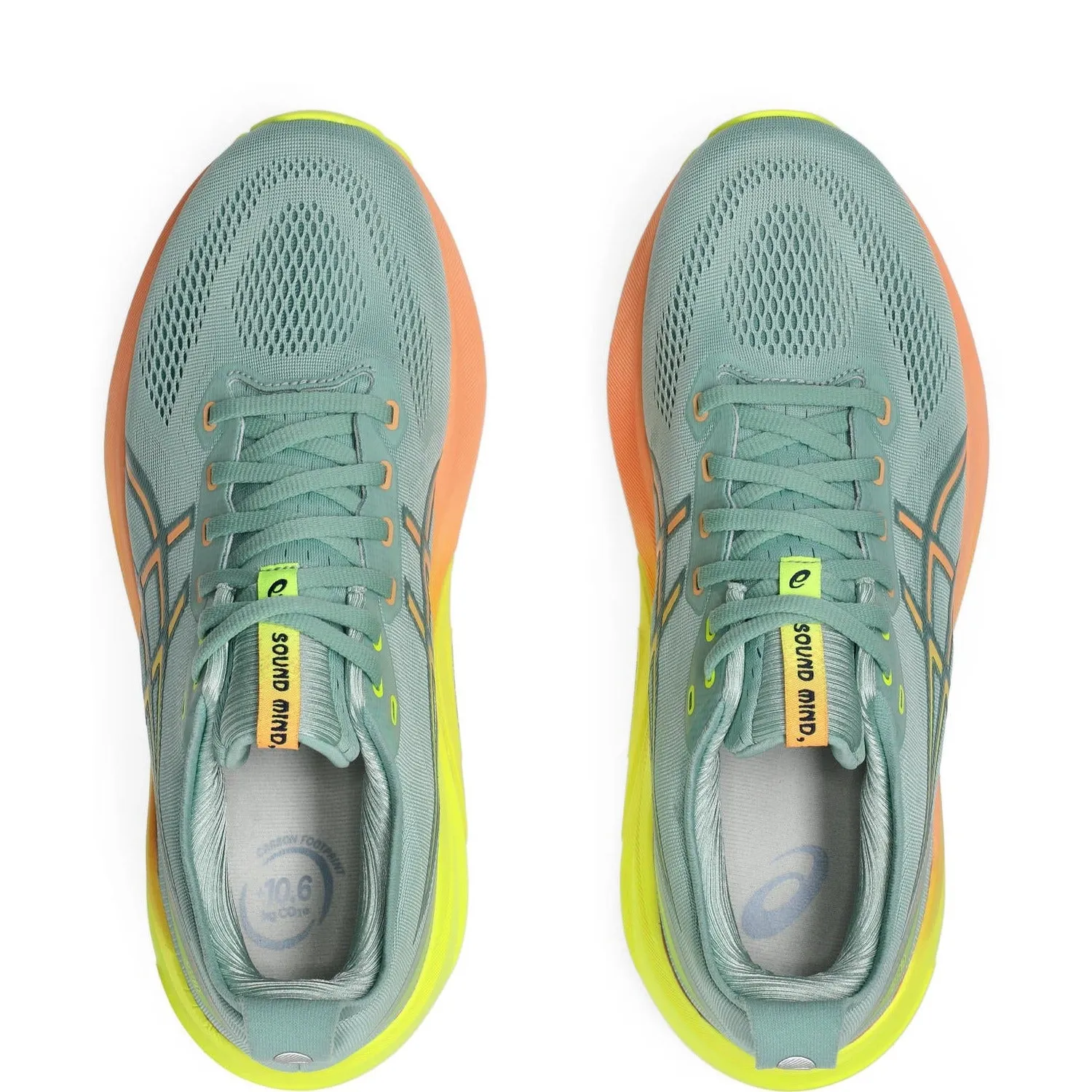ASICS GEL Kayano 31 men's asics Shoes
