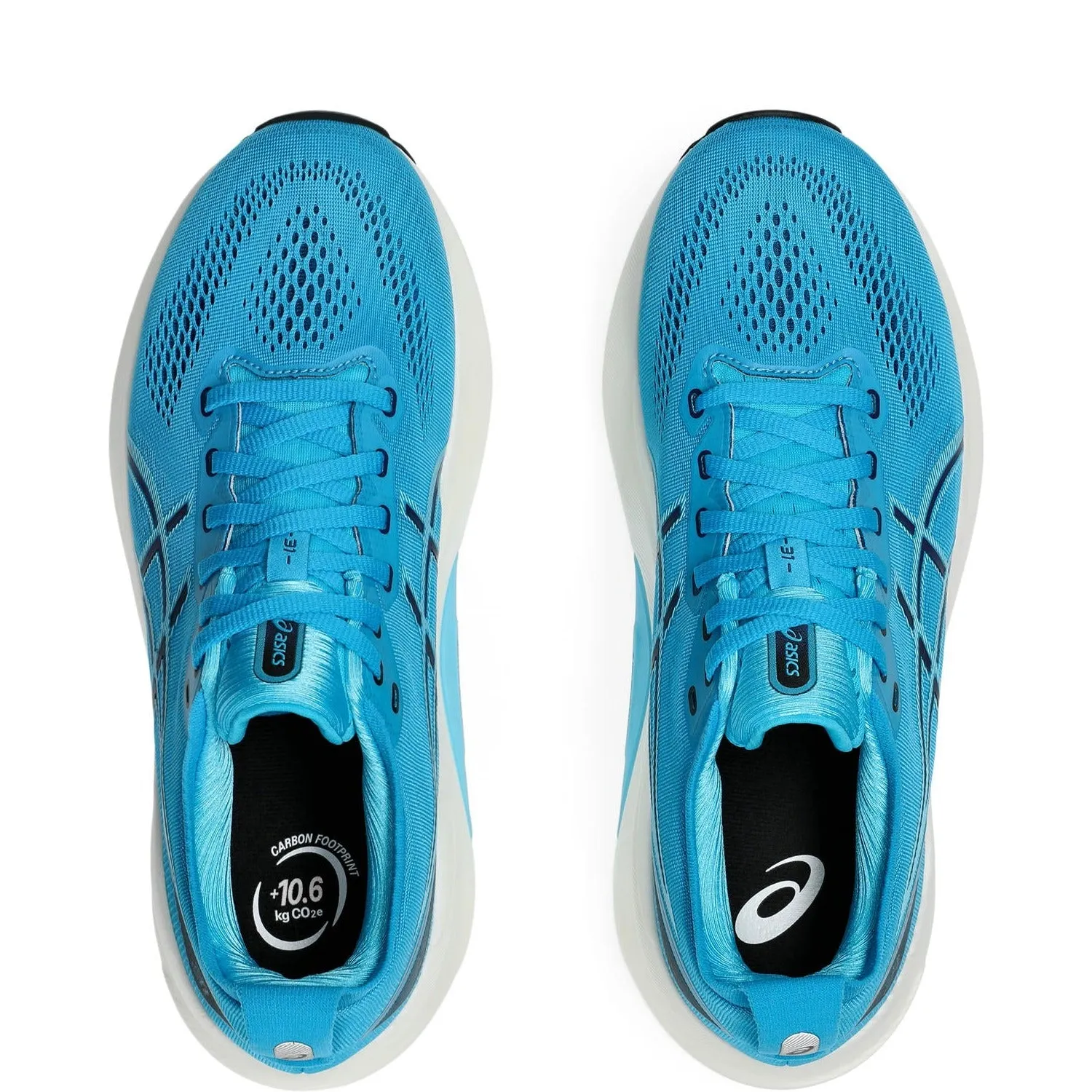 ASICS GEL Kayano 31 men's asics Shoes