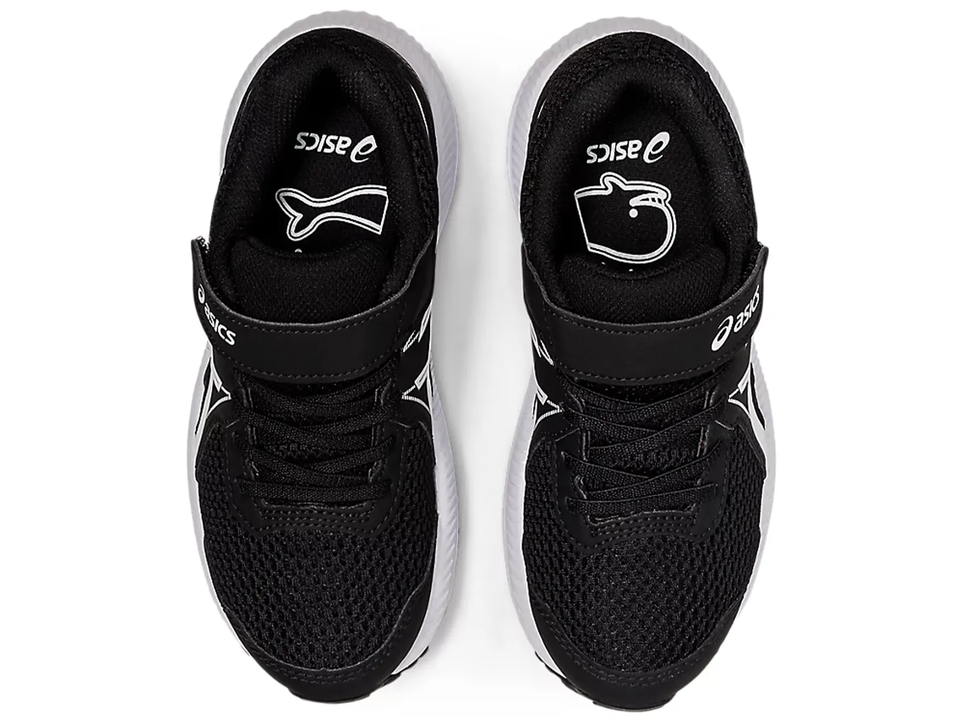 Asics Junior Contend 7 PS Asics Shoes