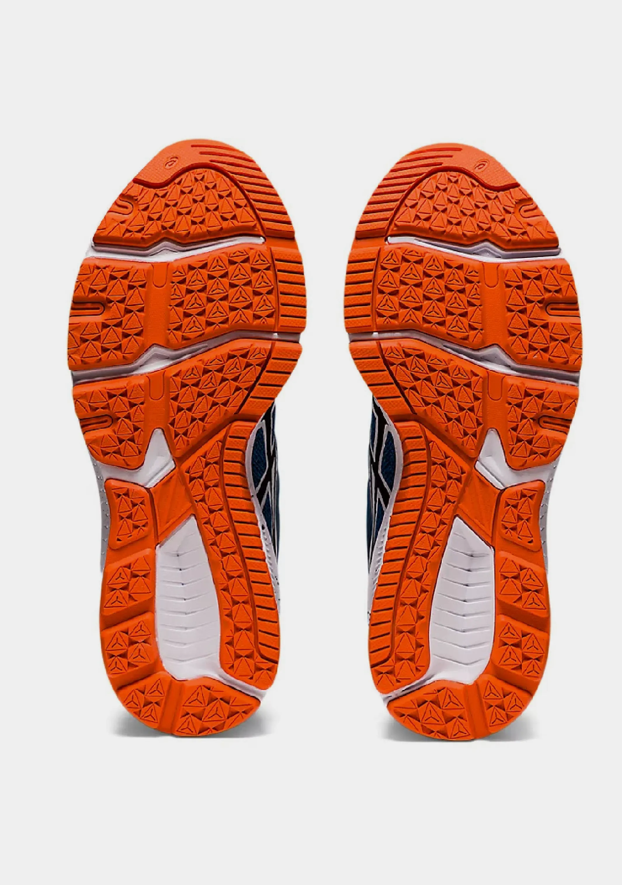 Asics Junior GT 1000 10 GS Asics Shoes