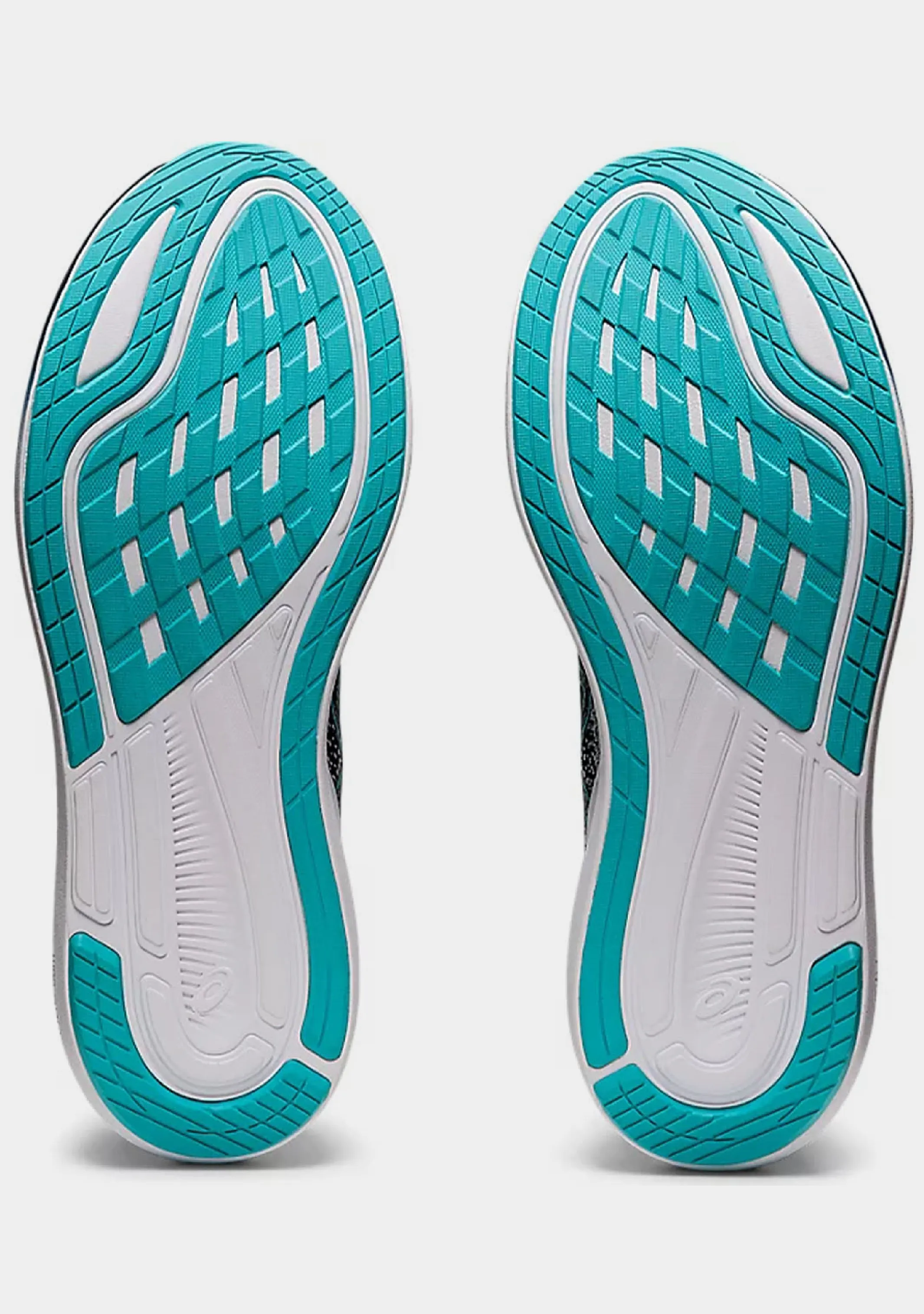 Asics Men’s Evoride 3 Asics Shoes
