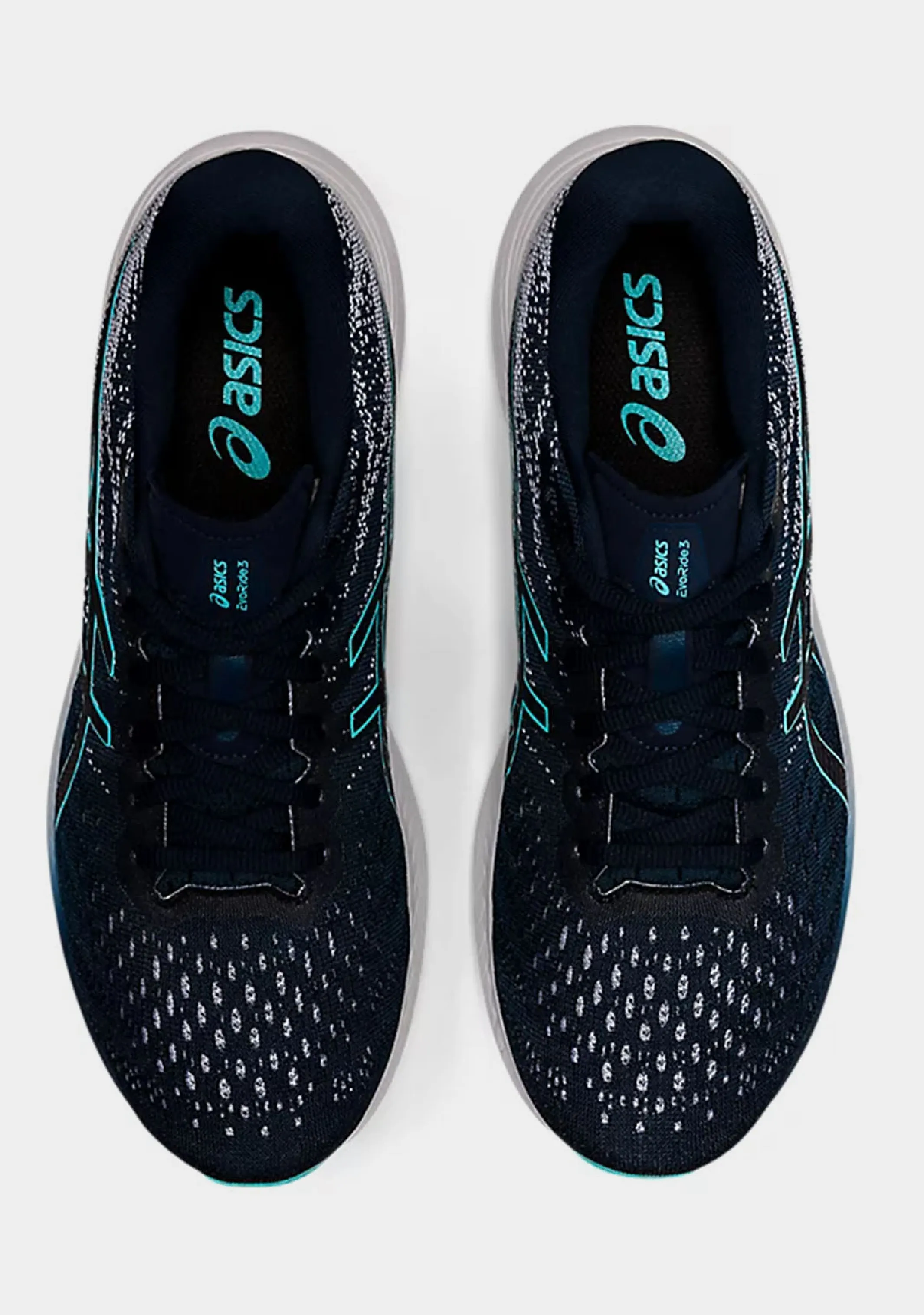 Asics Men’s Evoride 3 Asics Shoes