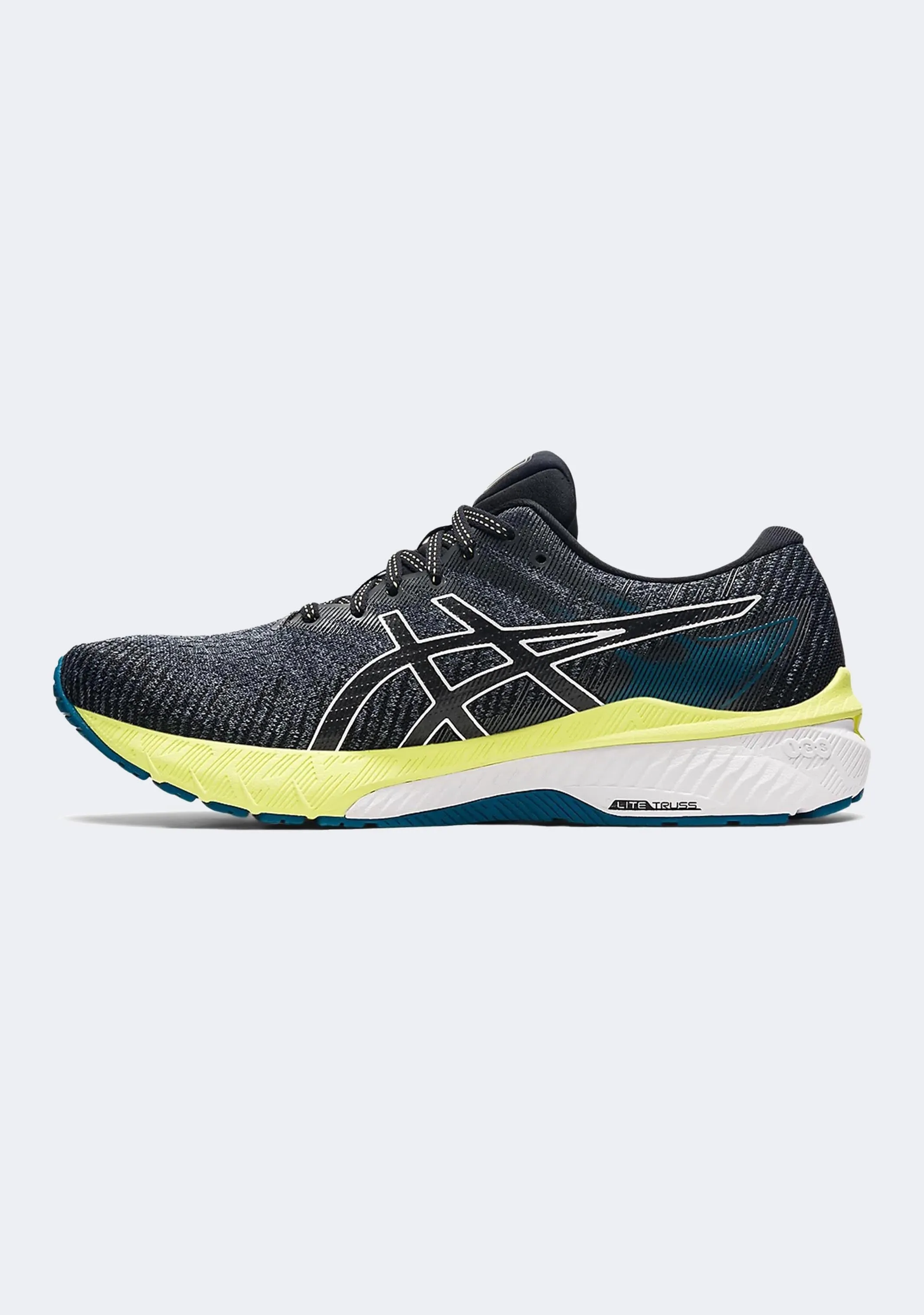 Asics Men's GT 2000 10 (2E Width) Asics Shoes