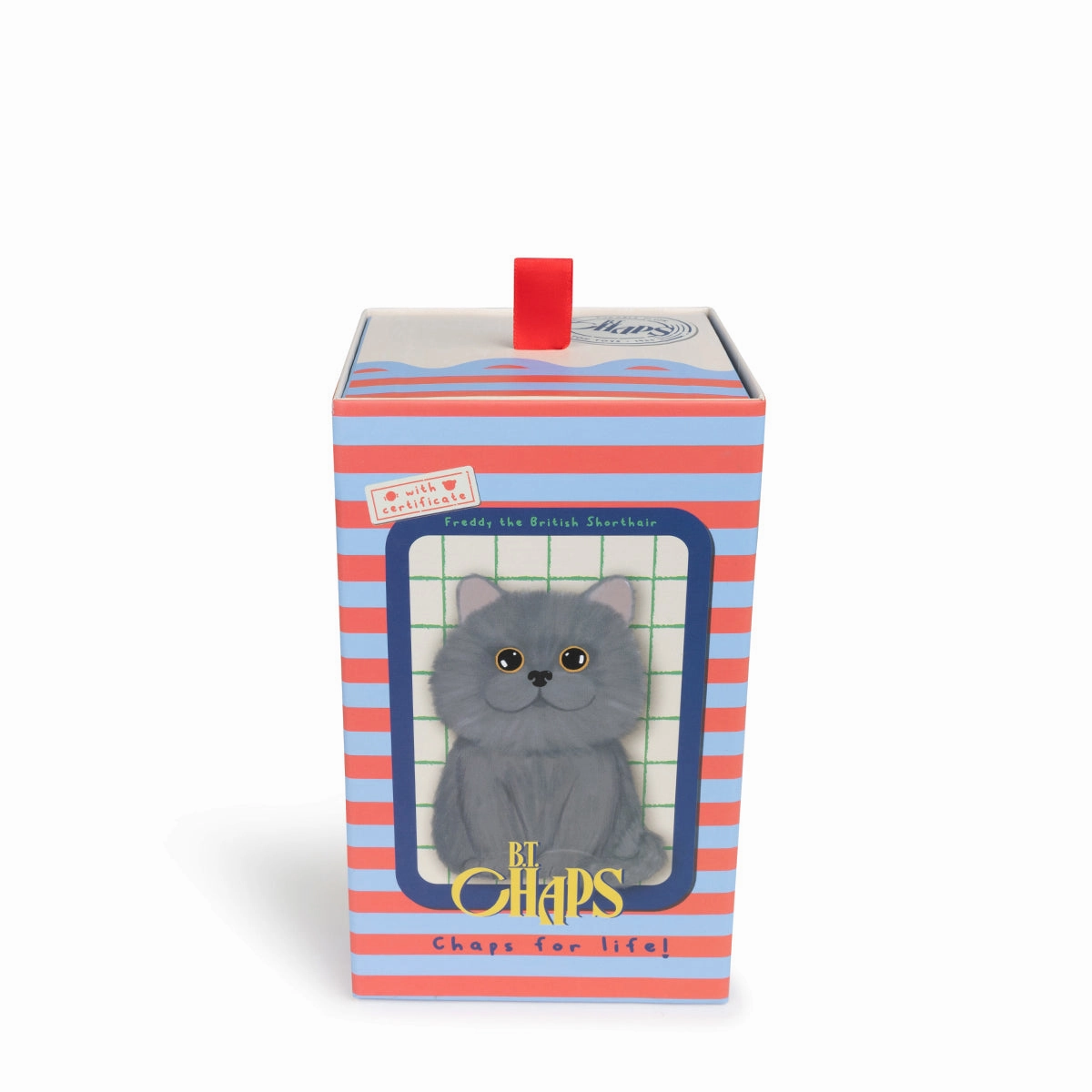 B.T. Chaps  Freddy The British Shorthair Floppy in Giftbox - 17cm - 6.5"
