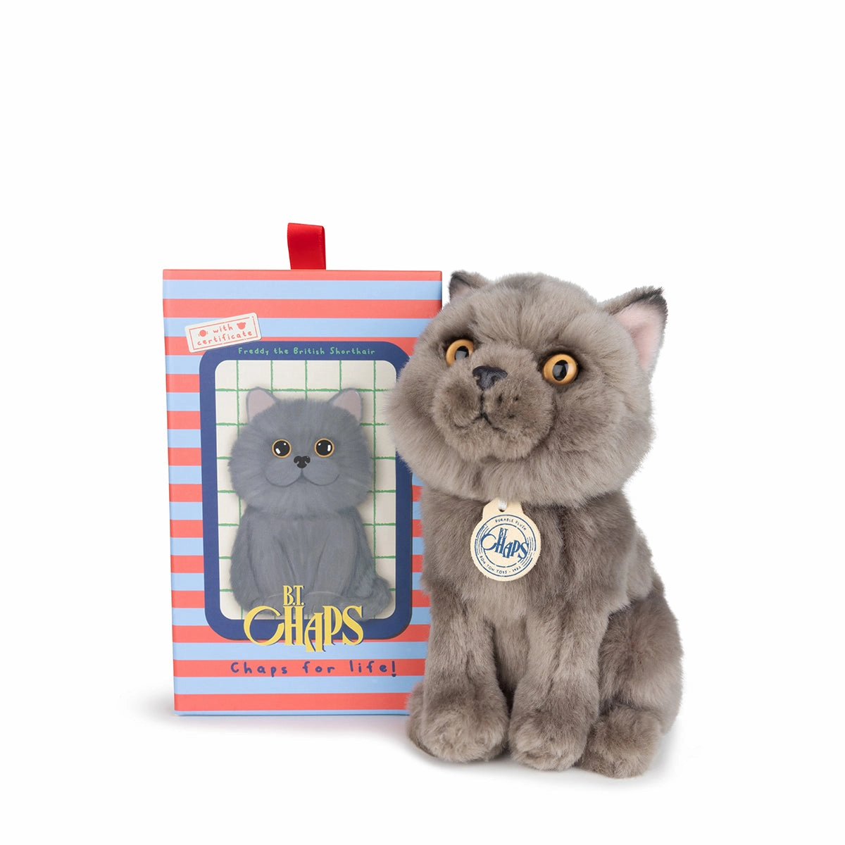 B.T. Chaps  Freddy The British Shorthair Floppy in Giftbox - 17cm - 6.5"