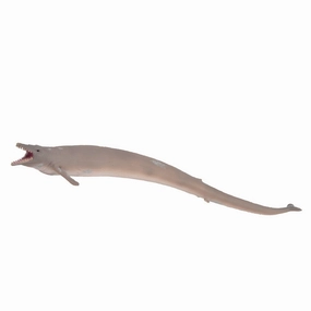 Basilosaurus