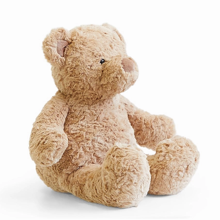 Biscuit the Bear with Sweater - Preorder