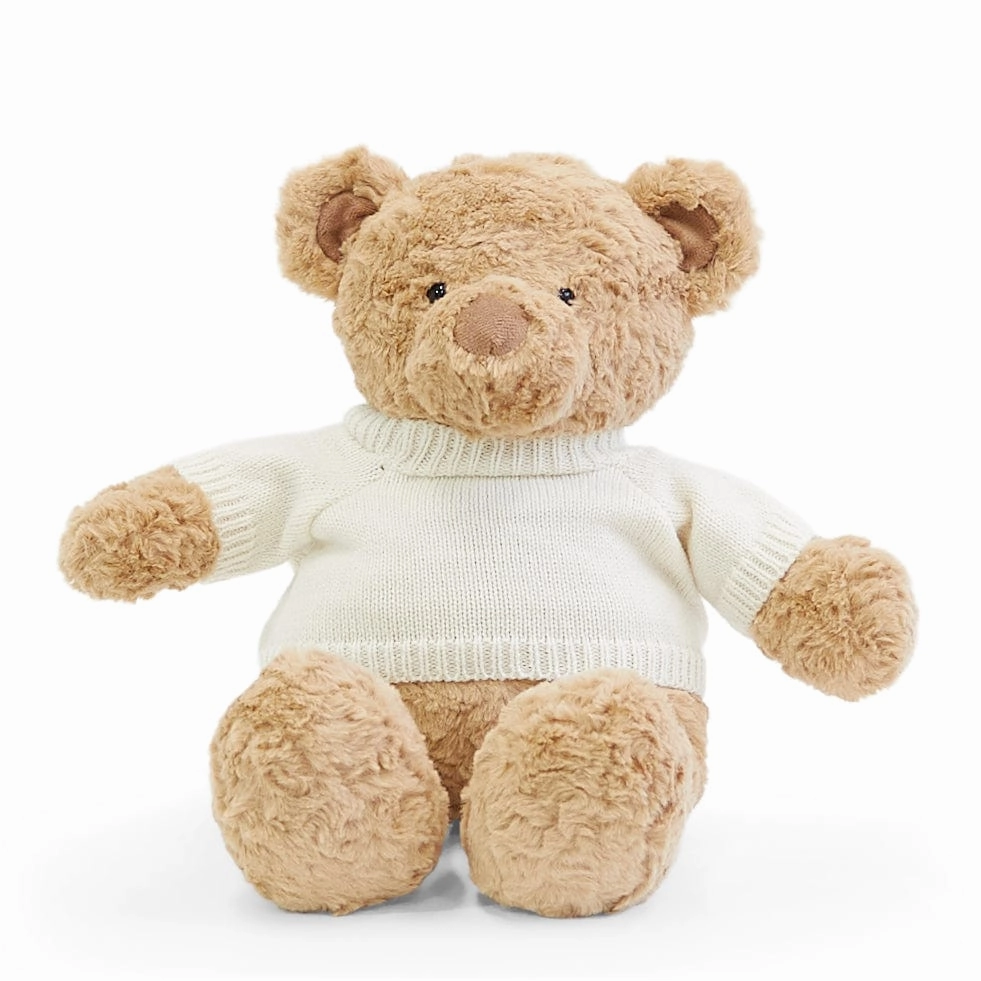 Biscuit the Bear with Sweater - Preorder