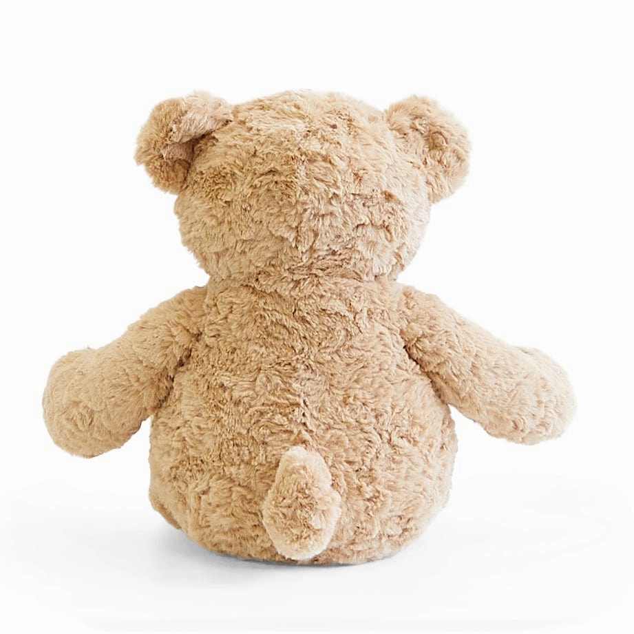 Biscuit the Bear with Sweater - Preorder
