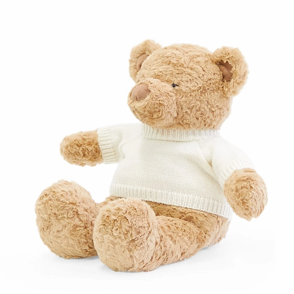 Biscuit the Bear with Sweater - Preorder