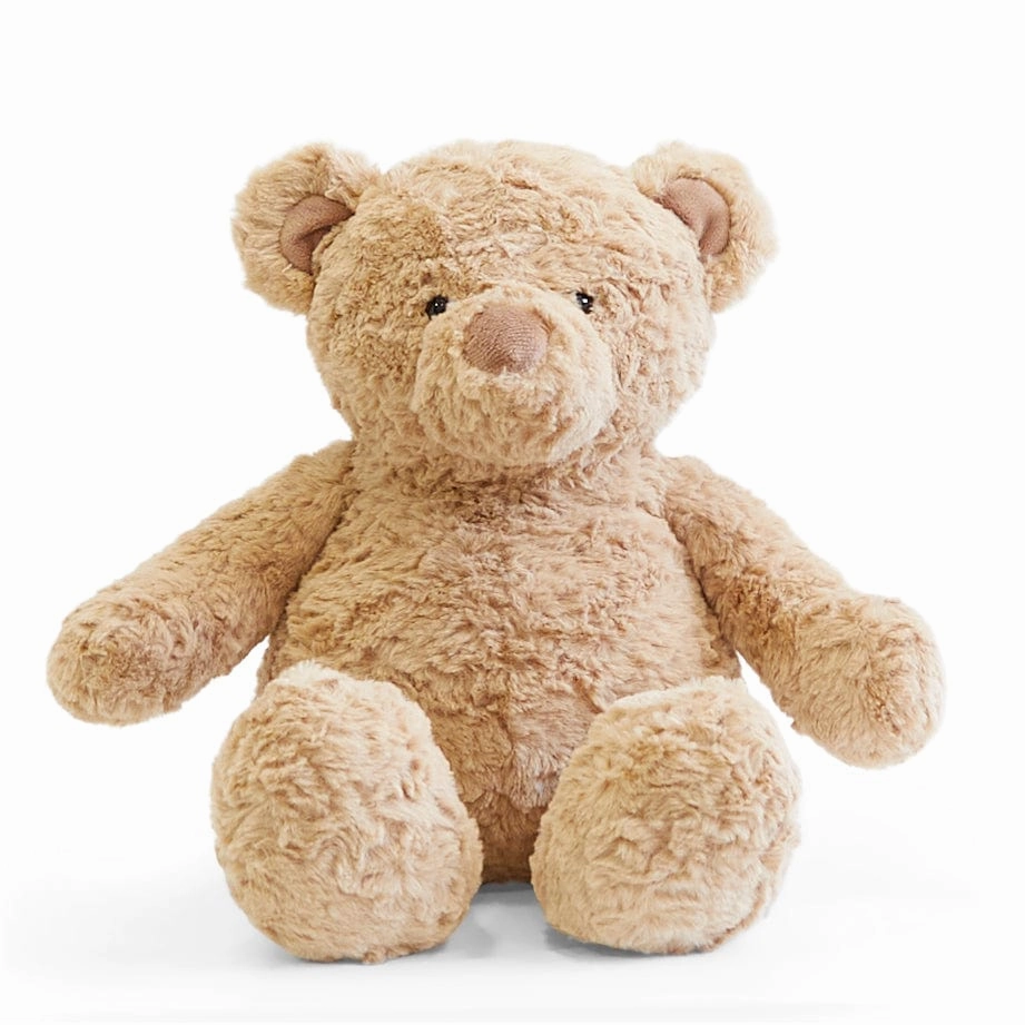 Biscuit the Bear with Sweater - Preorder