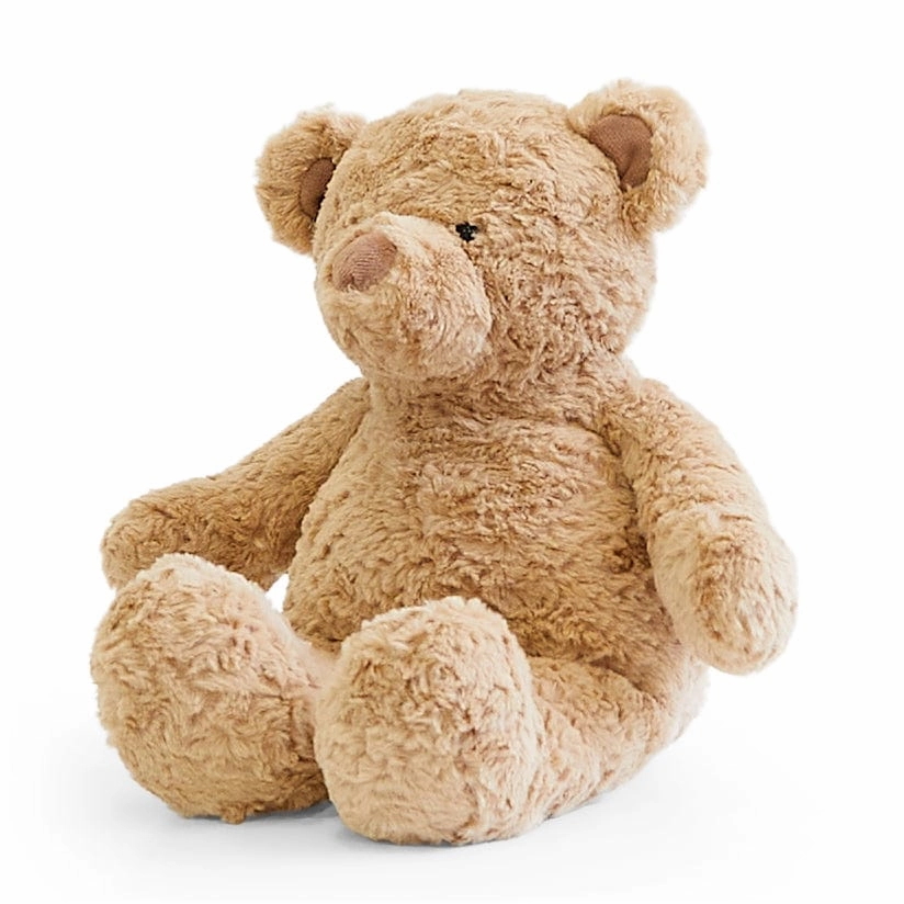 Biscuit the Bear with Sweater - Preorder
