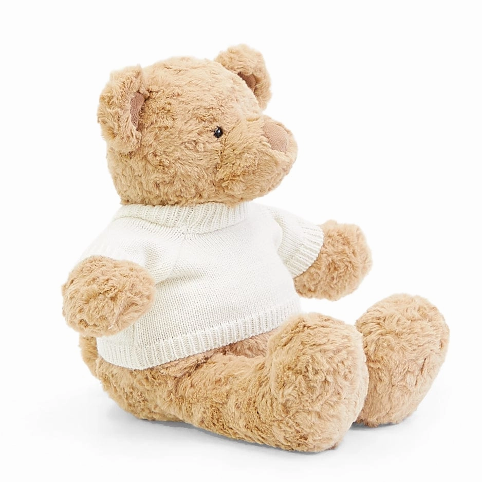 Biscuit the Bear with Sweater - Preorder