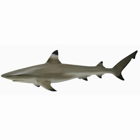 Blacktip Reef Shark Collecta