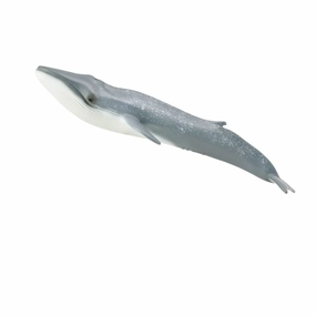Blue Whale