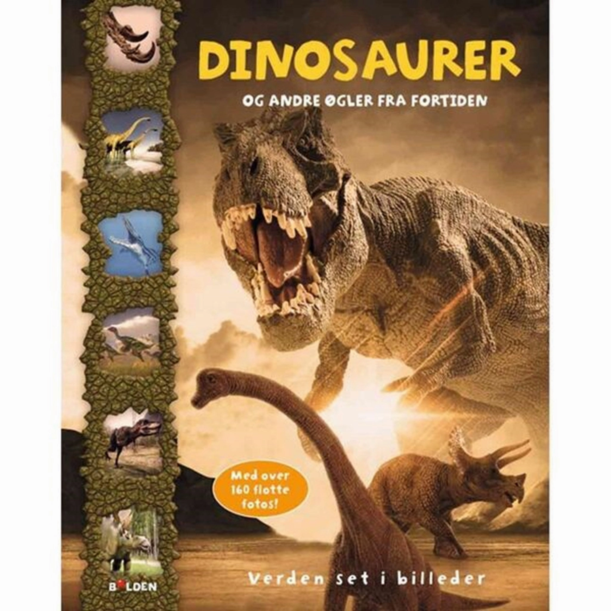 Bolden Dinosaurer og Andre gler Fra Fortiden