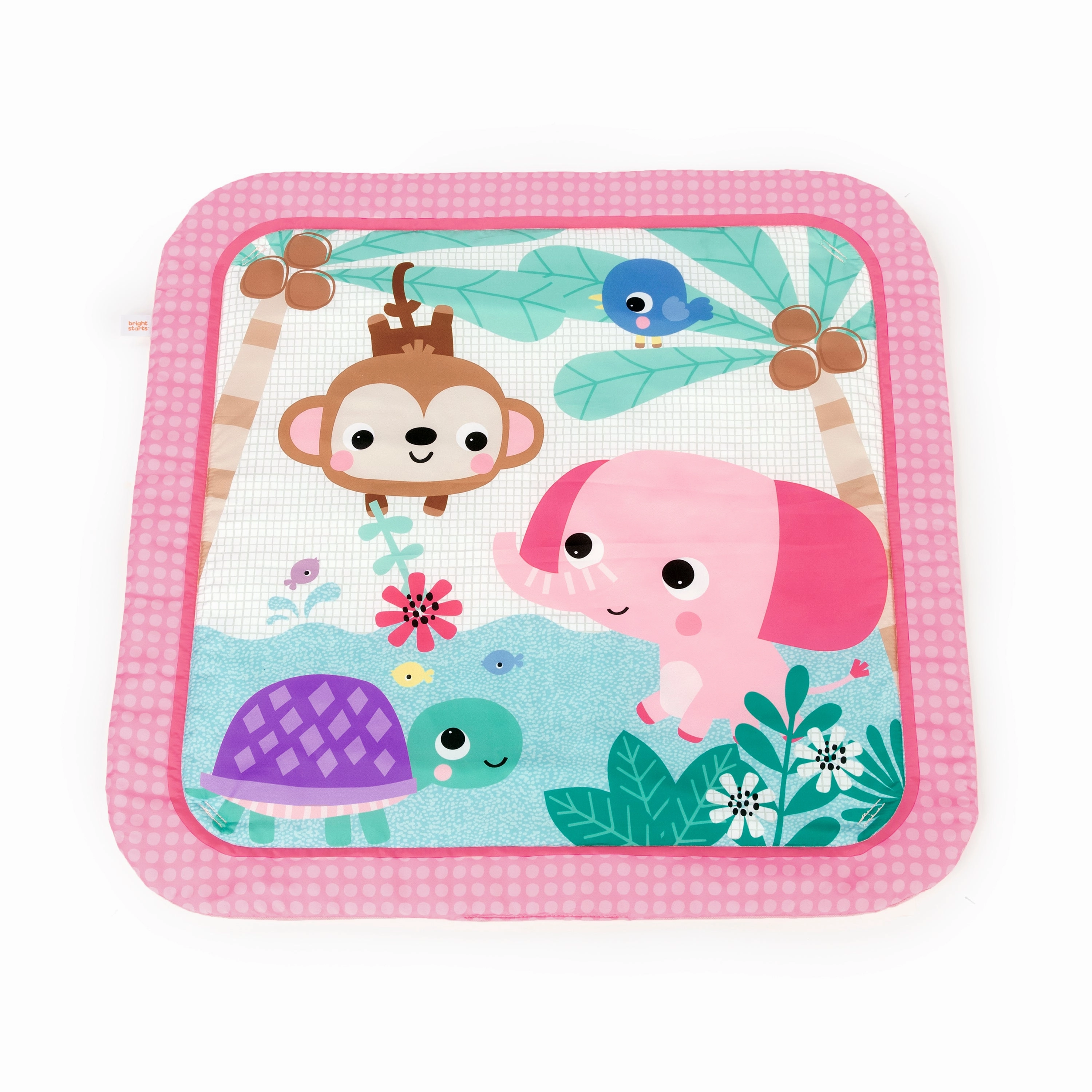 Bright Starts  Value Activity Gym (Girl)