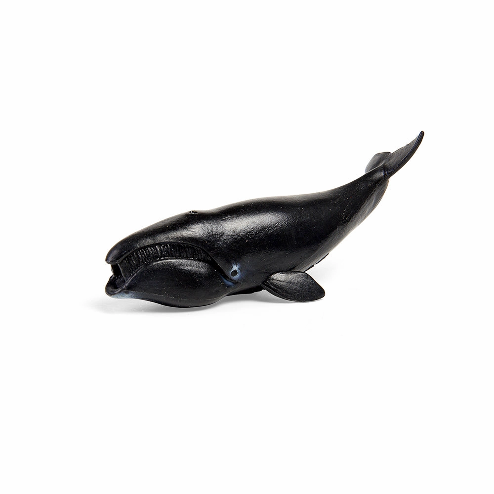 CollectA Box of Mini Sea Animals 2