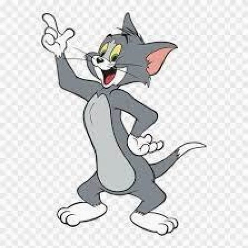 Comansi Angry Tom - Grey