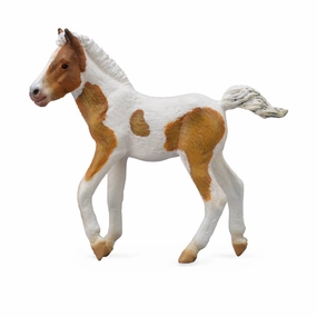 Dartmoor Hill Foal Skewbald