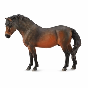 Dartmoor Pony Bay
