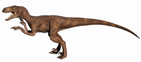 Dinosaur toy Velociraptor