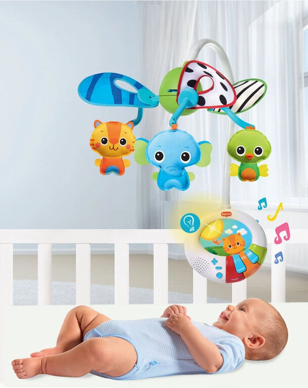 DUAL MOTION DEVELOPMENTAL MOBILE