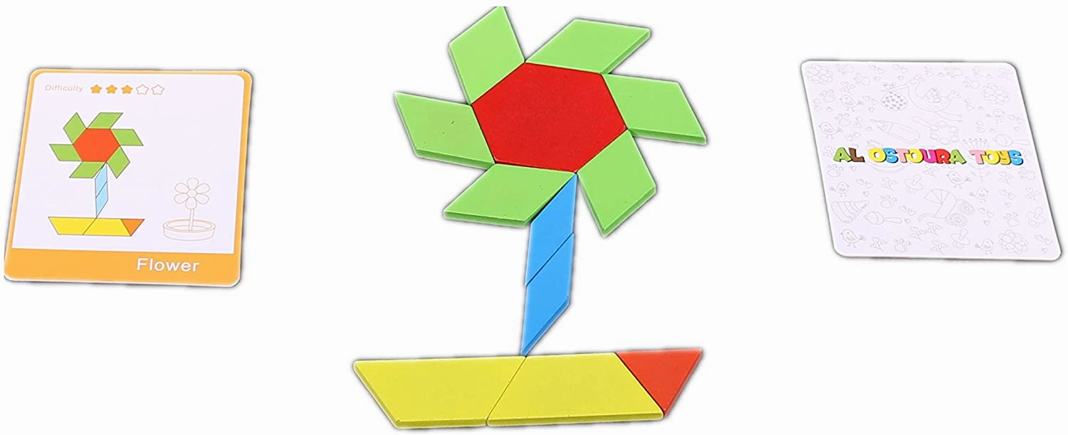 Educational Wooden Puzzle of Pattern
