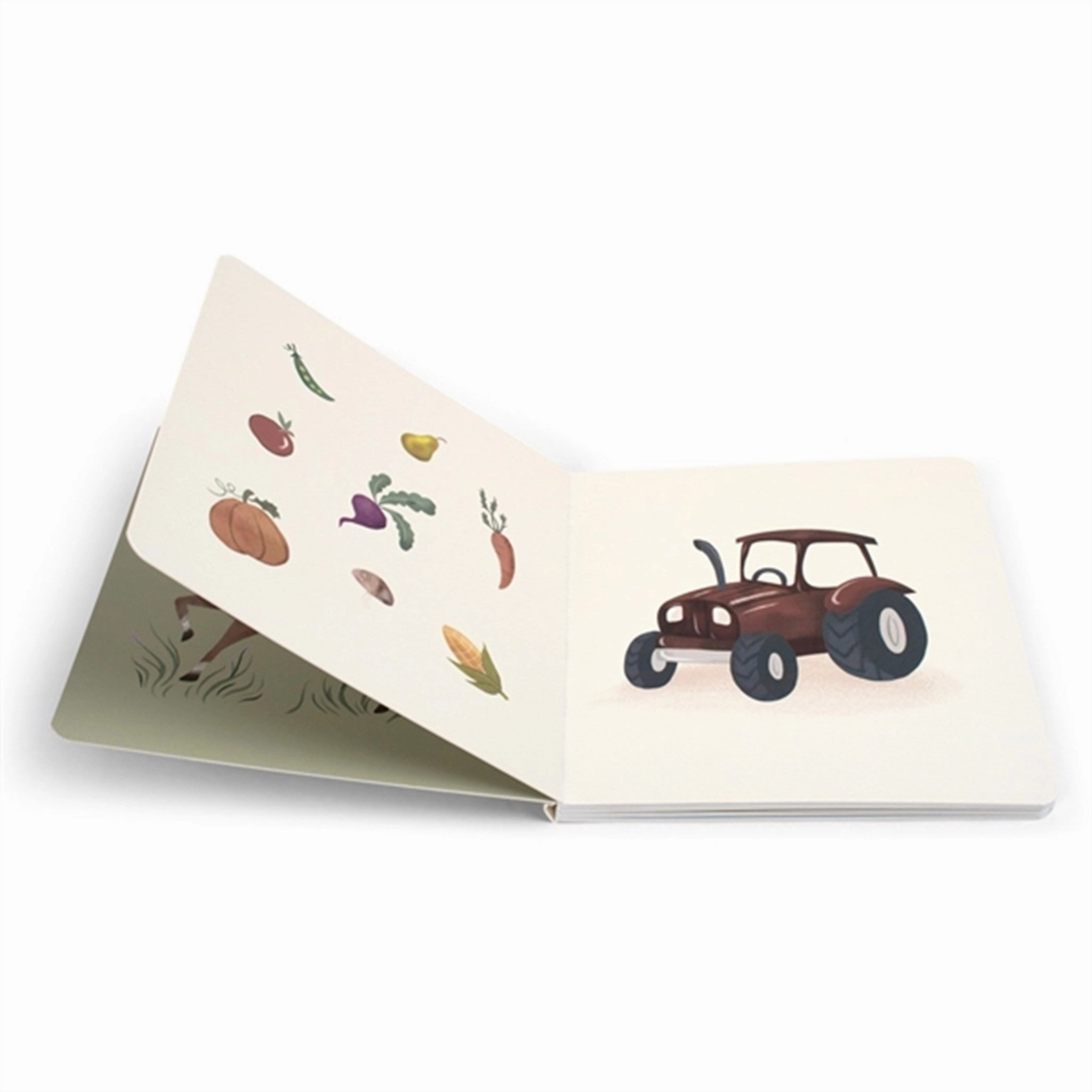 FILIBABBA Baby Book Magic Farm