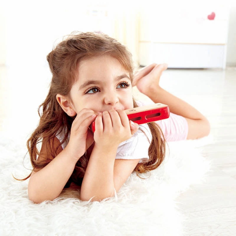 Hape Blues Harmonica Wooden Musical Instrument