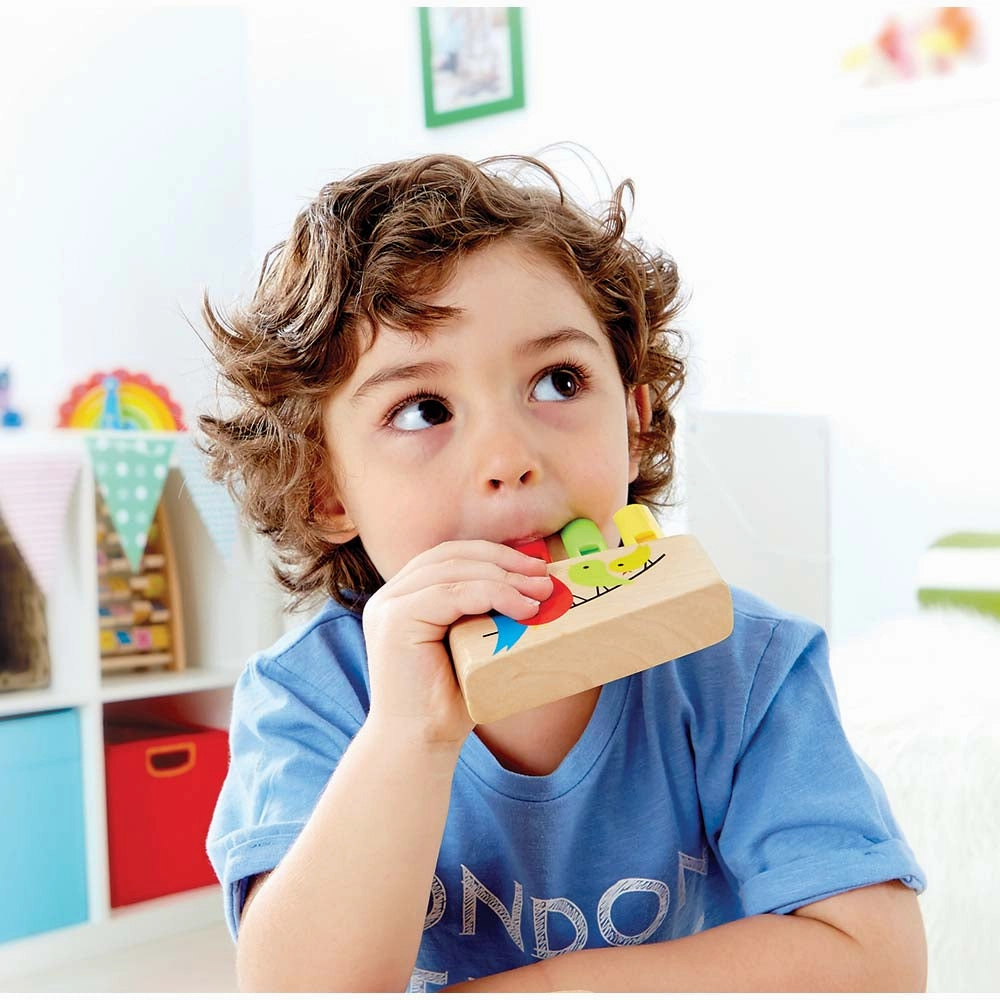 Hape Wooden Rainbow Pan Musical Flute