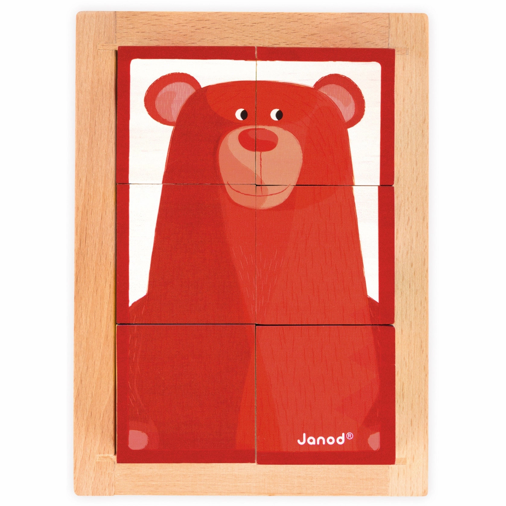 Janod 6 Forest Blocks in Wooden Box