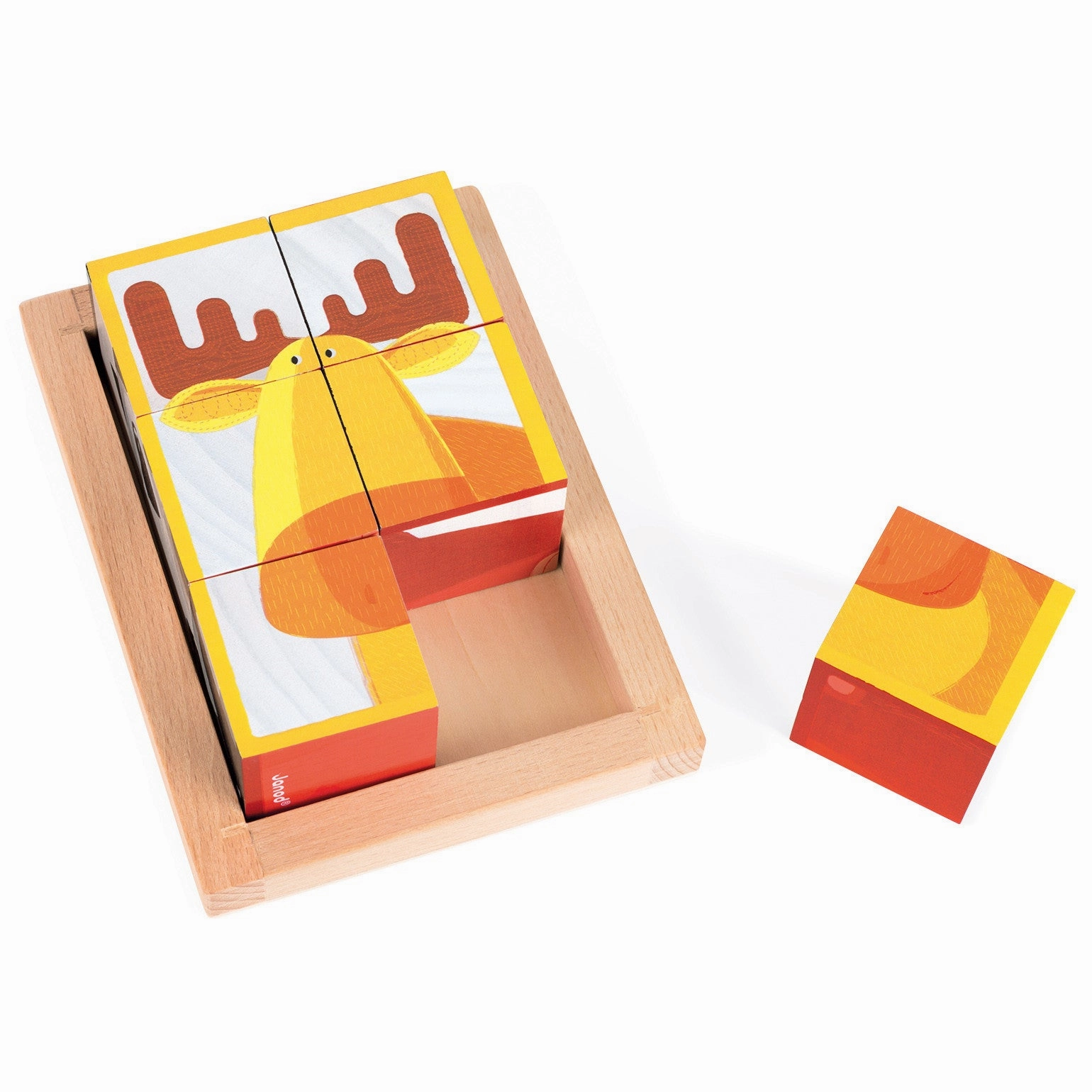 Janod 6 Forest Blocks in Wooden Box