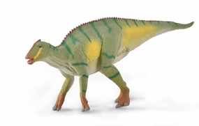 Kamuysaurus