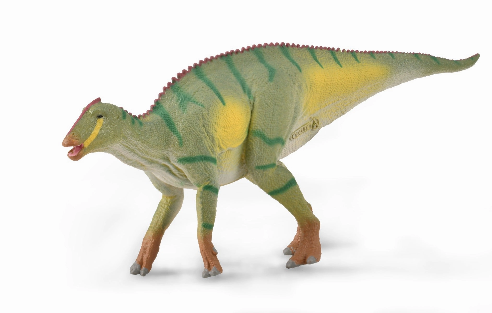Kamuysaurus
